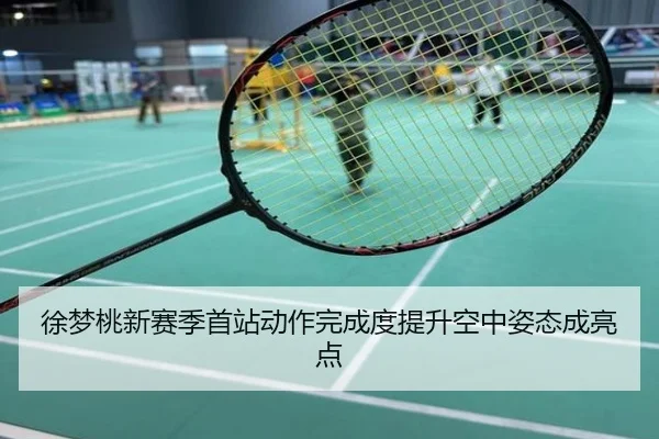 徐梦桃新赛季首站动作完成度提升空中姿态成亮点