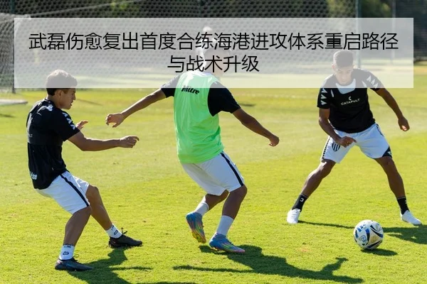 武磊伤愈复出首度合练海港进攻体系重启路径与战术升级
