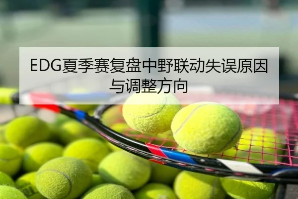 EDG夏季赛复盘中野联动失误原因与调整方向